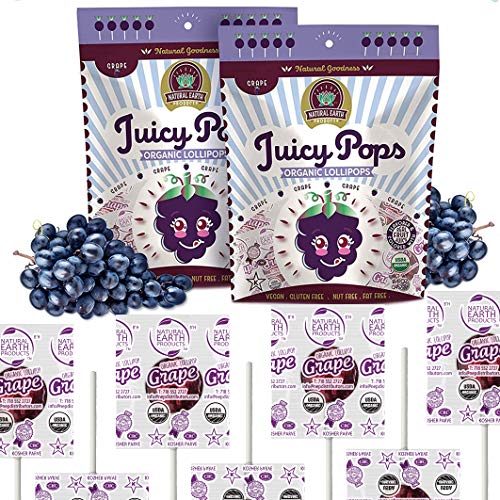 Natural Earth Products - Juicy Pops USDA Organic Lollipops - Kosher, Vegan, Gluten-Free, Nut-Free, Fat-Free - 8.5 Oz